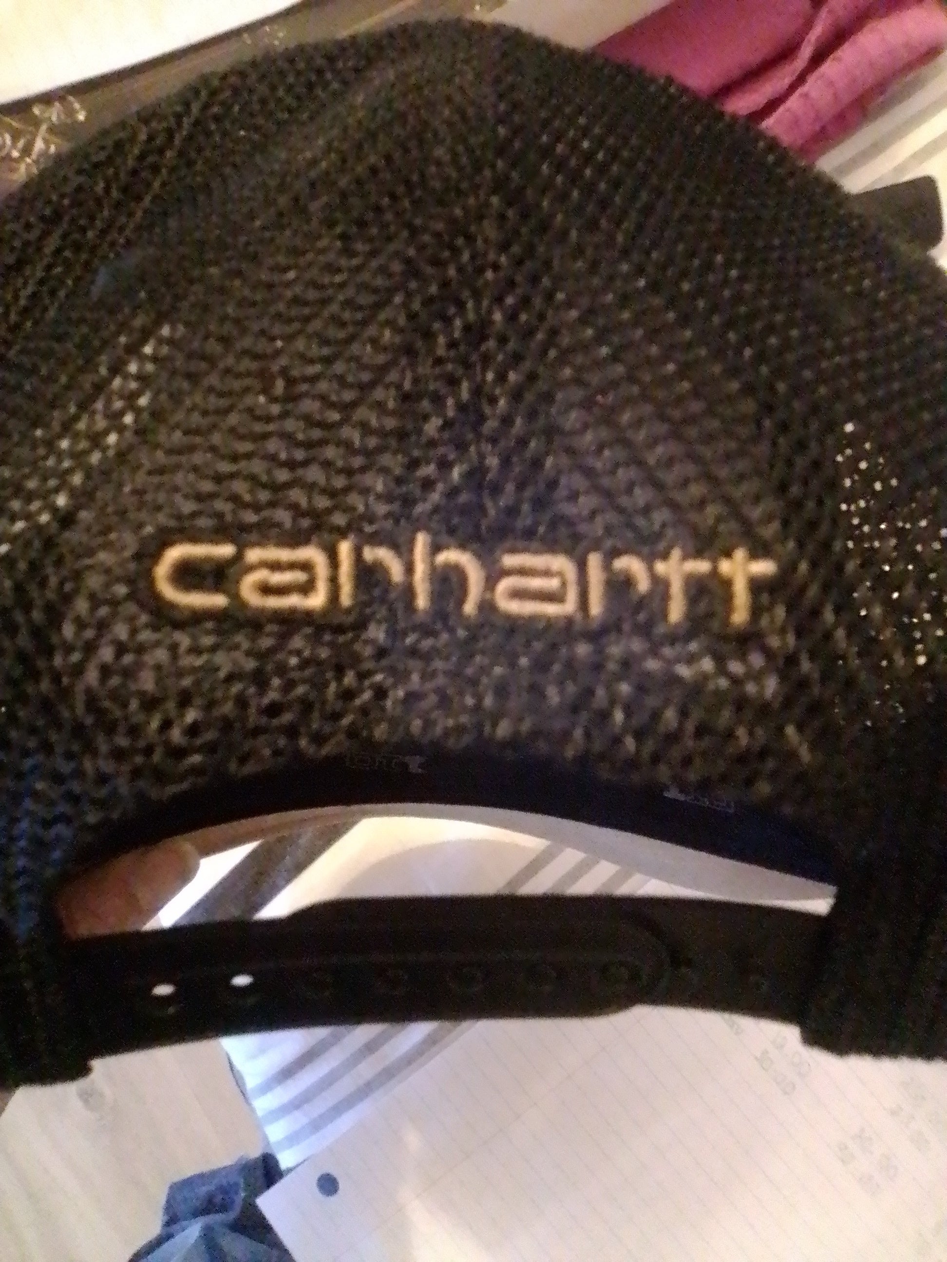 Carhartt snapback